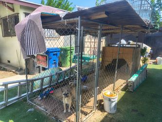 Dog cage big sise
