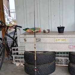 Fishing Rod With The Rail 