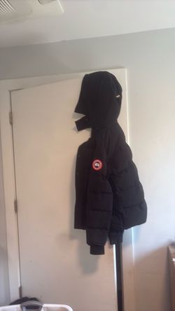 Canada goose