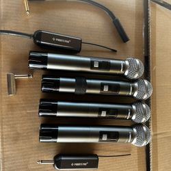 PDP-2-2H Dual Wireless Mic System