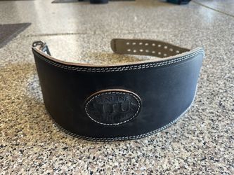 Weight Lifting Belt