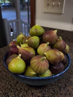 Organic Fresh Figs