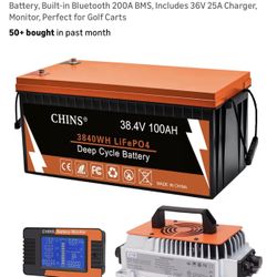 Chins Golf Cart Battery 