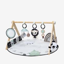 Baby Activity Gym - Tiny love 