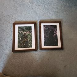 Framed Floral Shadow Art Prints 