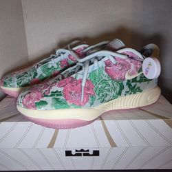 NIKE LEBRON XXI PRM Mens Basketball Shoes FV7275-401. Mens 10 Size