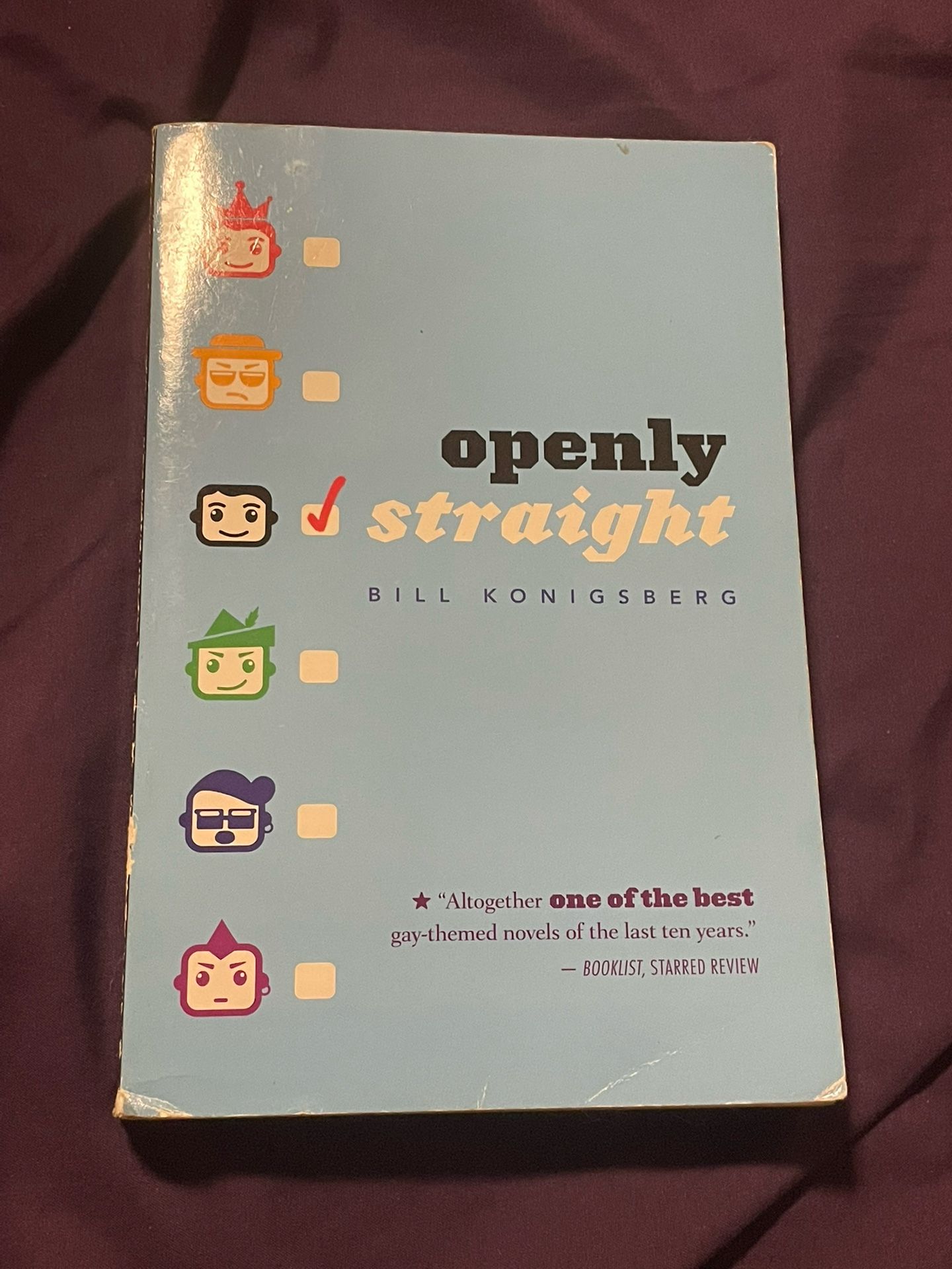 Openly Straight By Bill Koingsberg