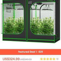10 Plants Grow Tent