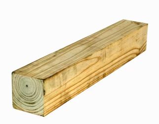 Pine Wood
