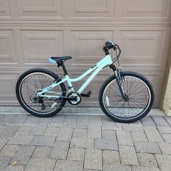 TREK PRECALIBER 24 INCH 7 X 3 SPEED KIDS BIKE ( CHECK MY OTHER BIKES)