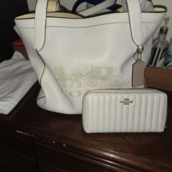 Coach Purse And Wallet