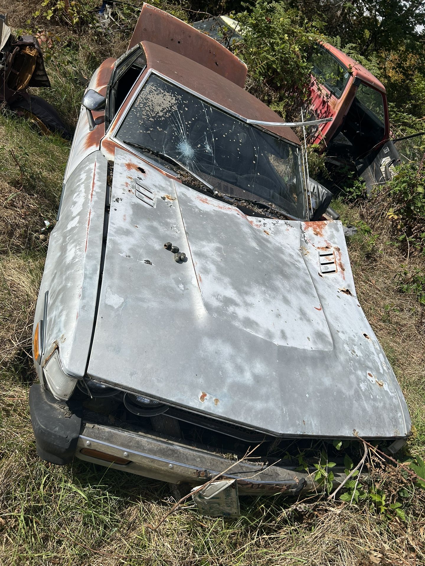 1976 Toyota Celica