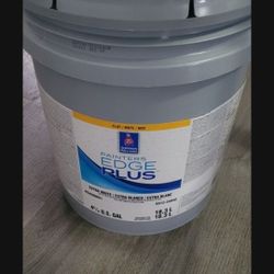 Paint Extra White Flat