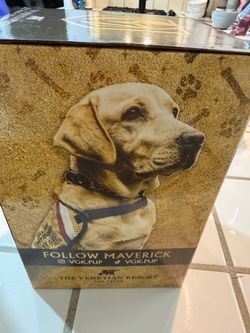 Vegas Golden Knights Maverick VGK Pup Gift Box