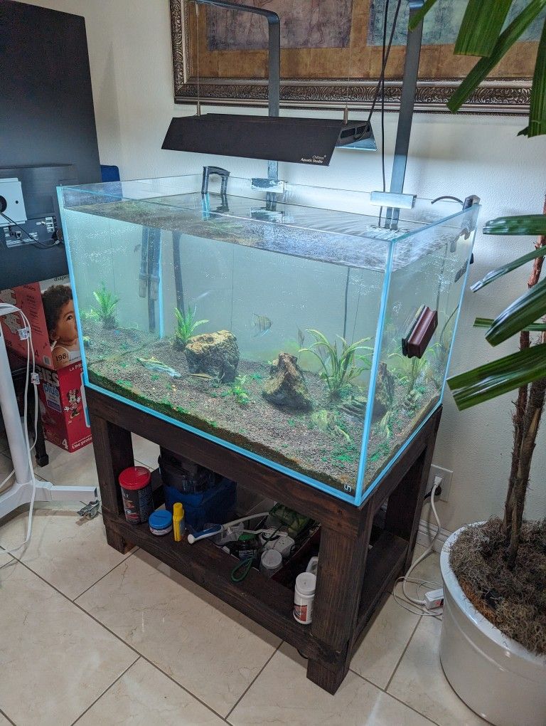 70 Gallon Aquarium UNS Ultum Nature Systems Rimless