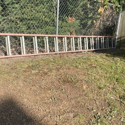 40ft Extension Ladder