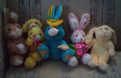 Stuffed bunny collection
