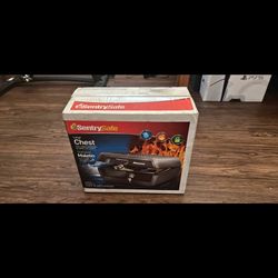 SentrySafe Charcoal Gray Fireproof and Waterproof Safe Box with Key Lock, Portable Chest for Money,