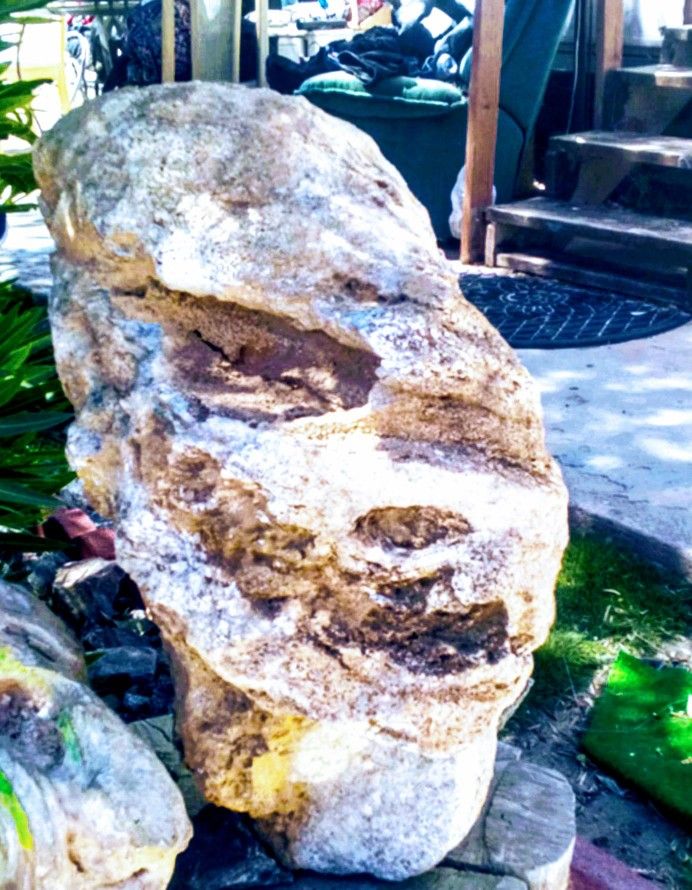 Mud Fossil
