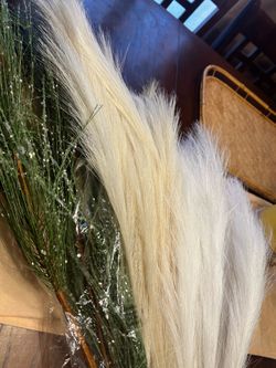 Beautiful New with tags Pampas 34 inches tall