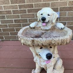 Doggy Birdbath