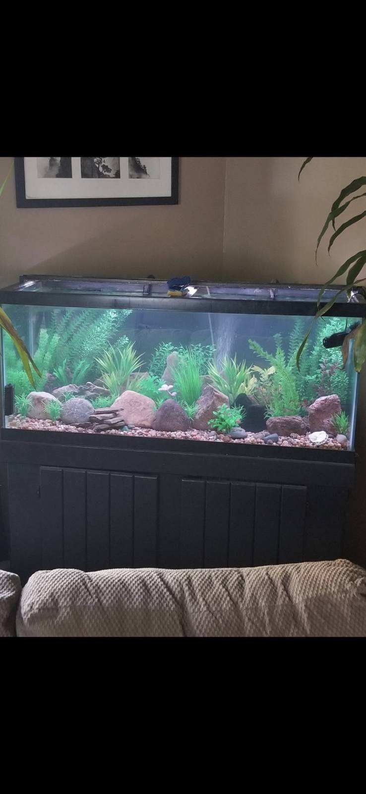 75 Gallon All Glass Fish Tank With Stand