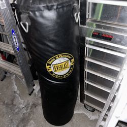 Ever Last Punching Bag