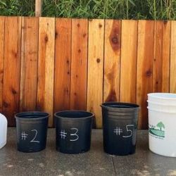 2 and 3 gallon pots on Supersale!