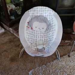 Baby Bouncer