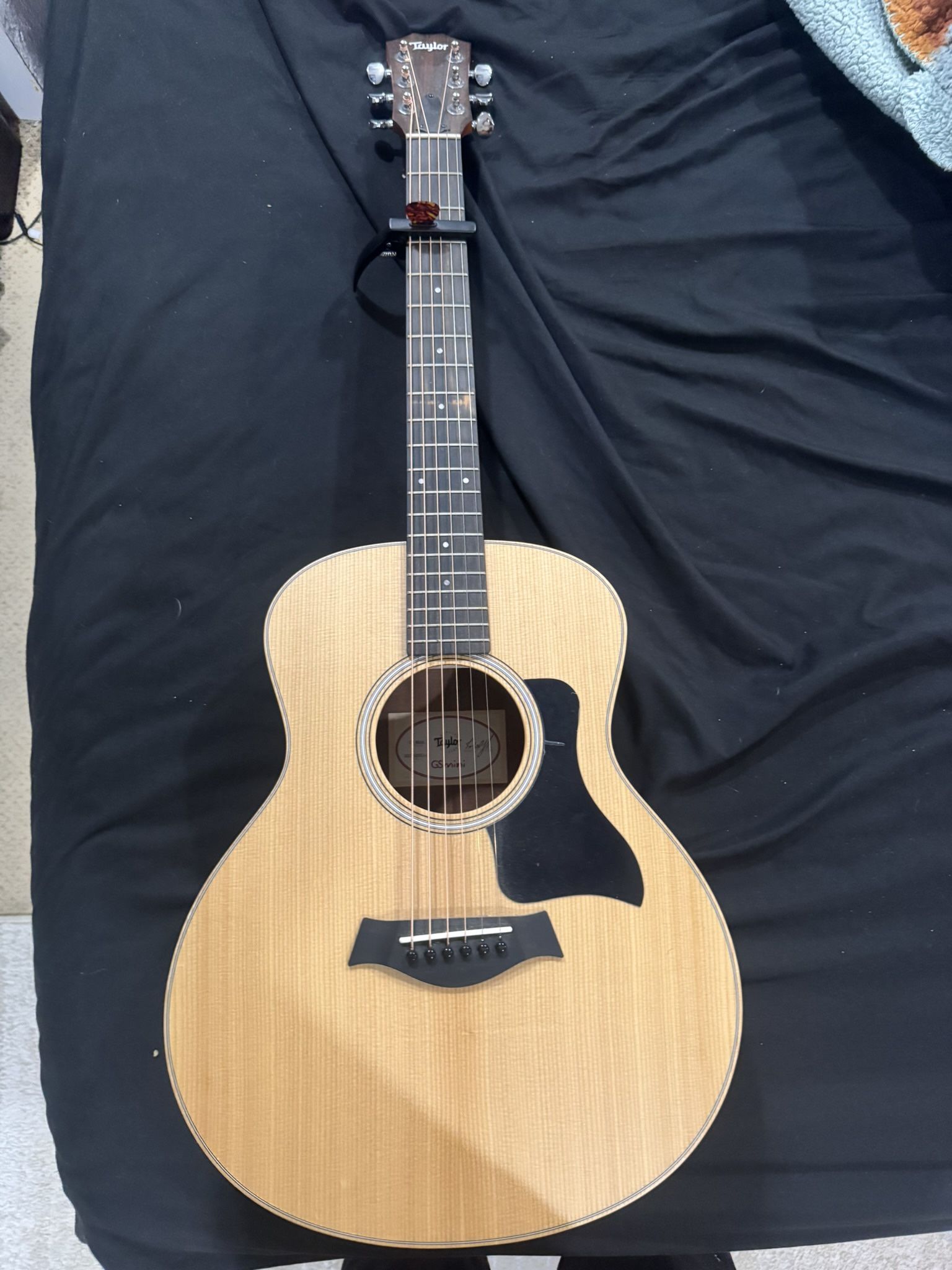 taylor guitar new with case and capo/pick