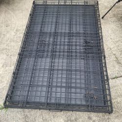 Durable, Foldable Metal Wire Dog Crate with Tray, Single Door, 48 x 30 x 32. Great Condition
