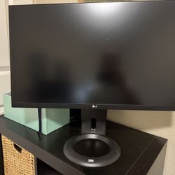LG Computer/Gaming Monitor 