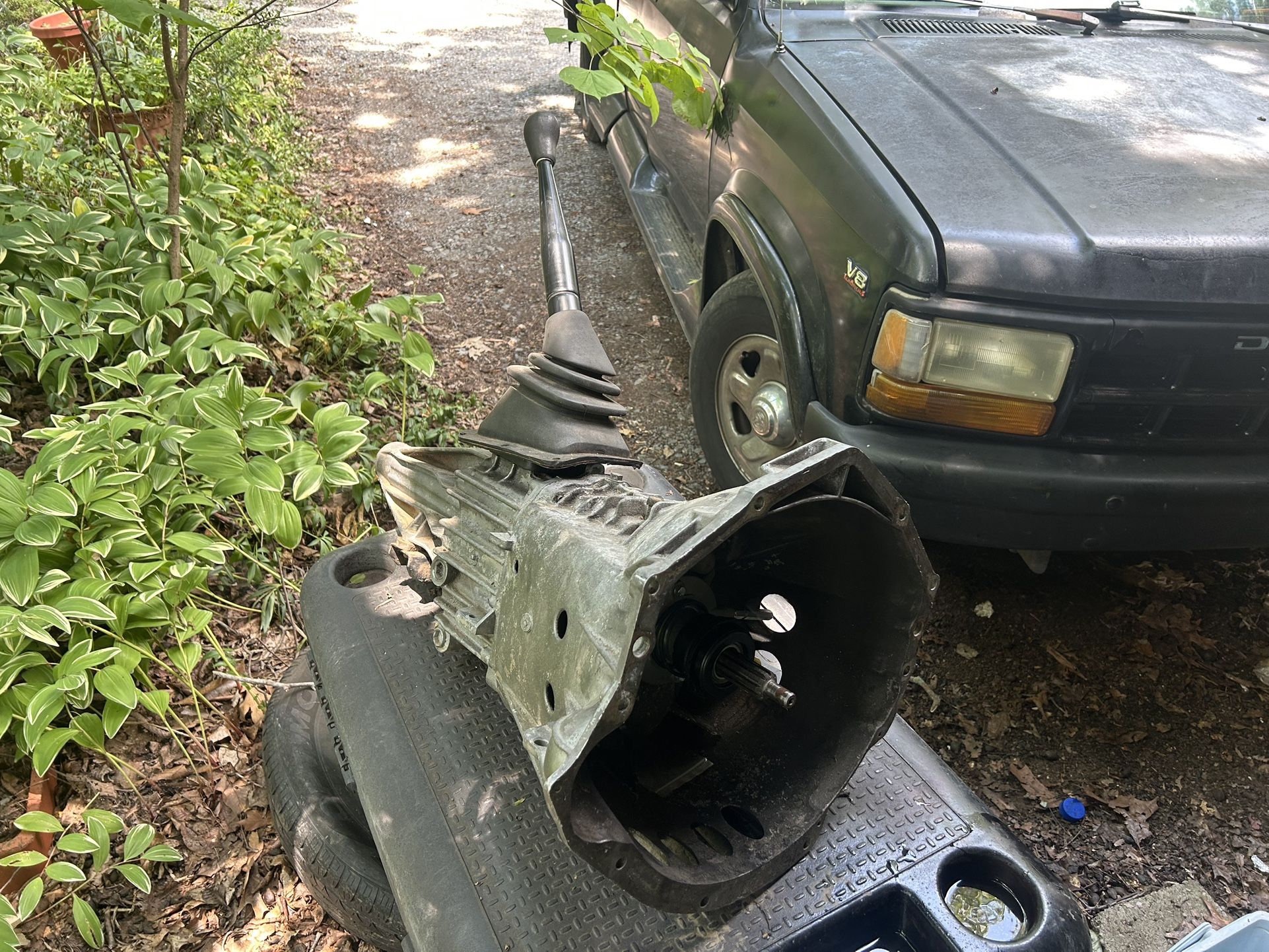 S10 Manual Transmission Nv3500