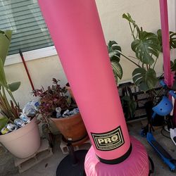 Professional Boxing Punching Bag 