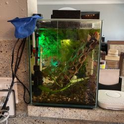 Small Fish Tank 