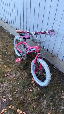 Girls 16 in. Bike