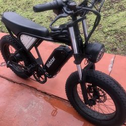 Ridstar Q20 Electric Bike 