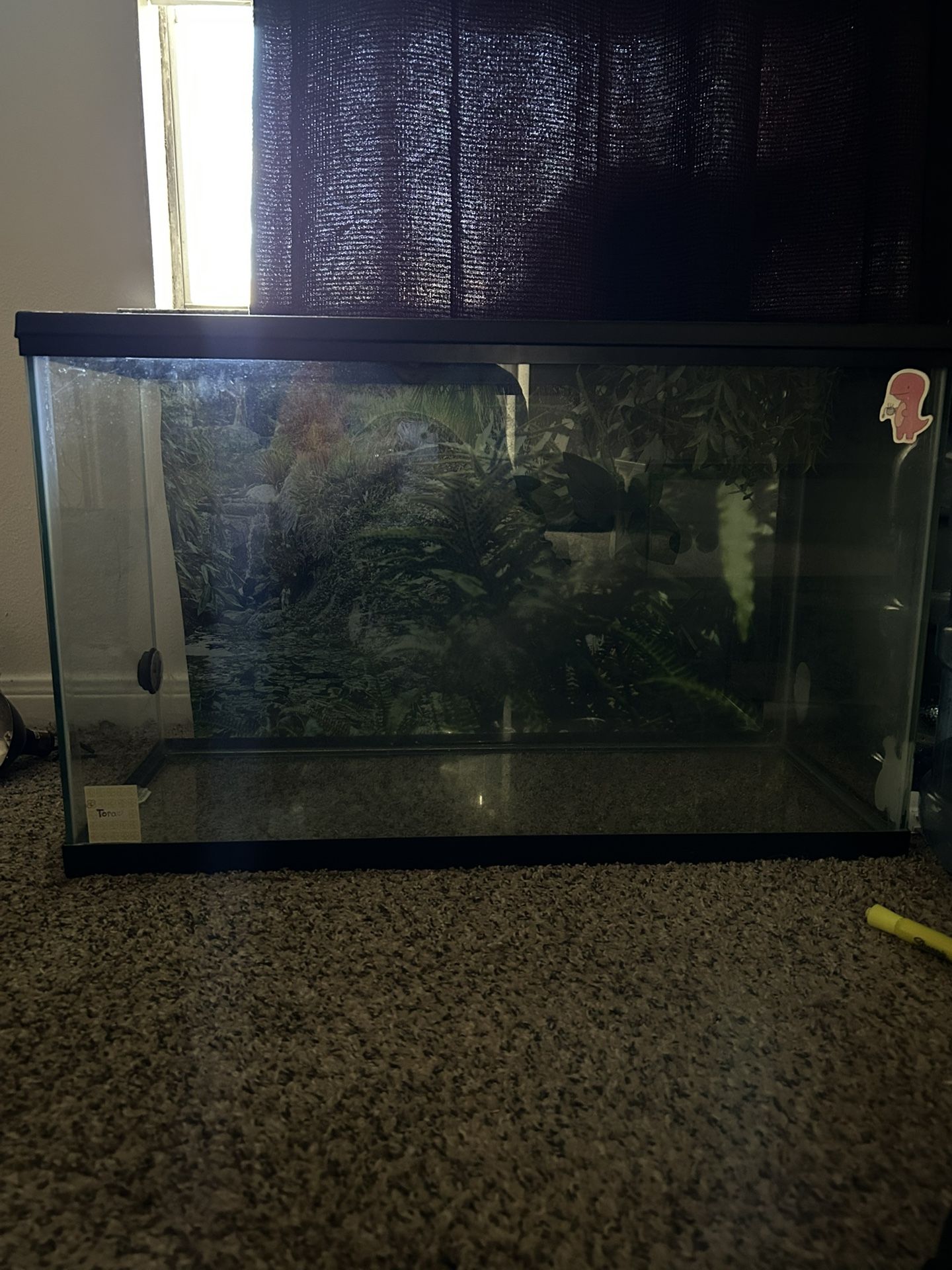 Lizard Or Aquarium Tank