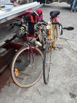 Male/Female Bike