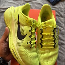 Nike Pegasus 41 Size 11