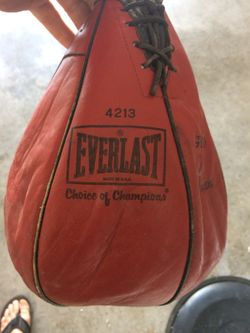 Ever last speed bag.