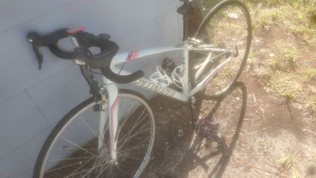 2015 Specialized Dolce Comp Women's Bike