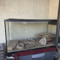 Turtle Tank