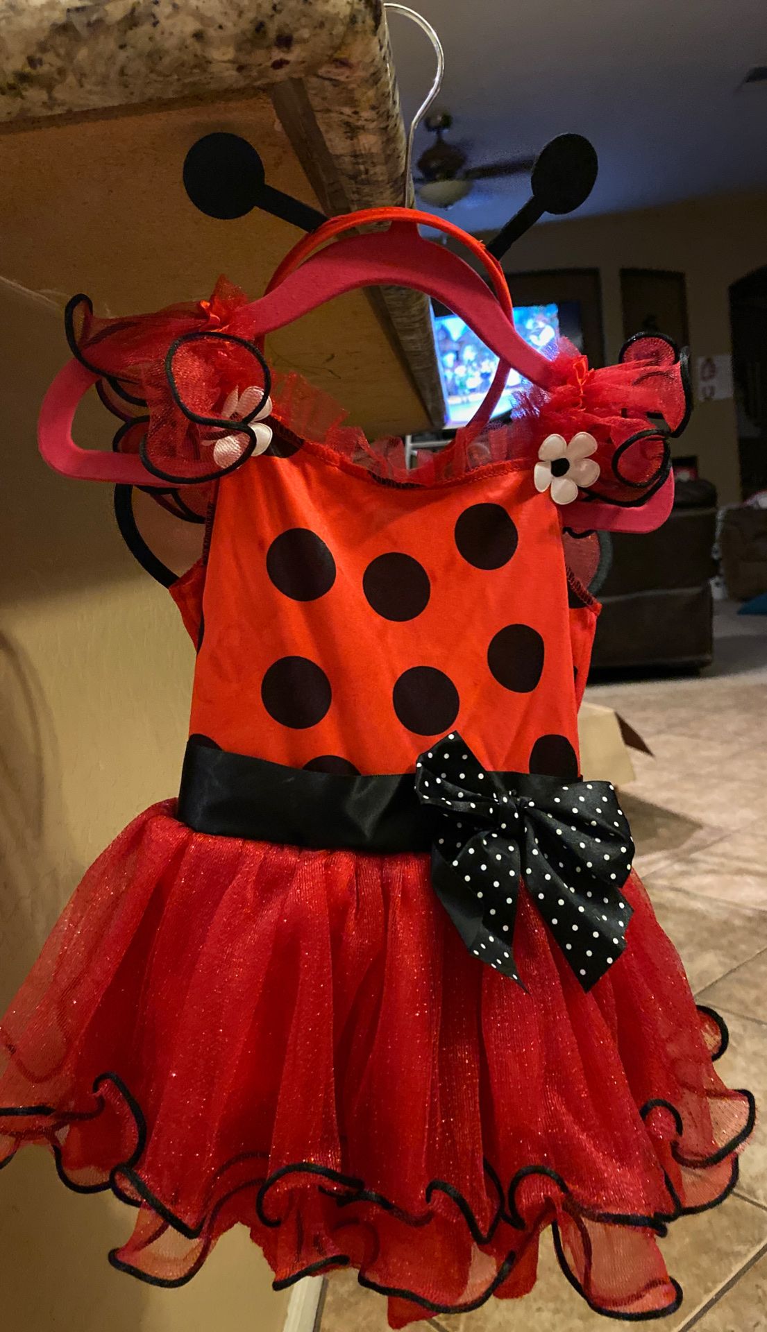 2T ladybug costume