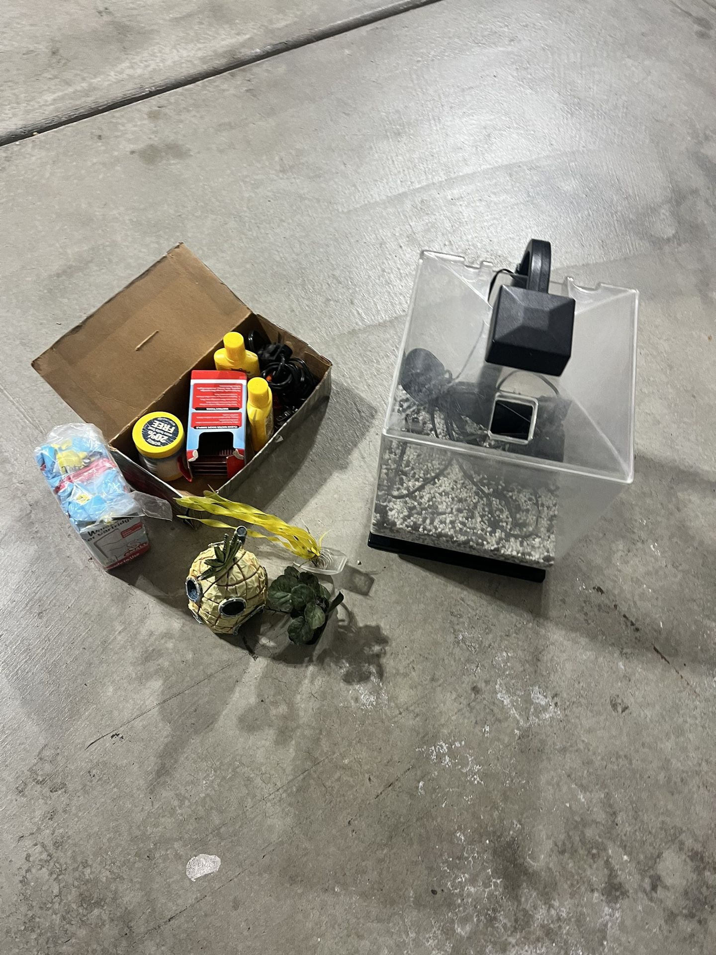 Fish tank for beta Fish And accessories 