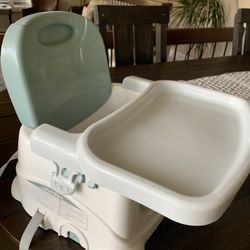 Infant ( 6 months and up ) and Toddle ( up to 4 year old ) Booster Seat With Tray 