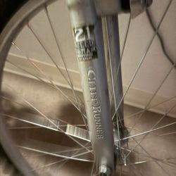 Vertical - cliff runner 