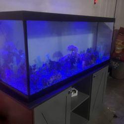 80 Gallon Fish Tank 