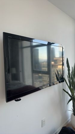 48” Sony Bravia TV
