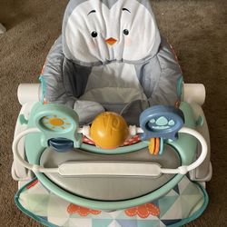 Fisher Price Infant Seat